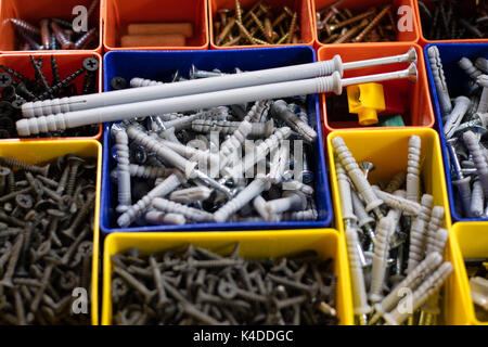 Screws segregated in plastic colored containers. Box for builder and DIY. Black background. Stock Photo