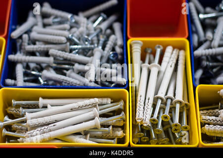 Screws segregated in plastic colored containers. Box for builder and DIY. Black background. Stock Photo