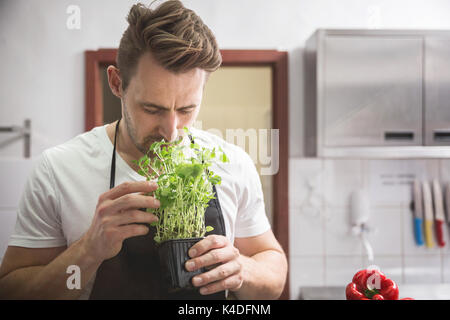 Portrait of handsome chef in the kitchen smelling lemon balm Stock Photo