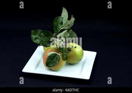 Three apples on a white plate. Stock Photo
