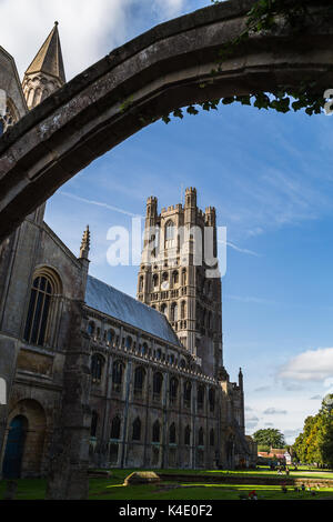 Ely Cathedral under the trees Stock Photo - Alamy