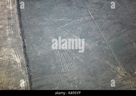 Nazca lines - flamingo , Peru Stock Photo - Alamy