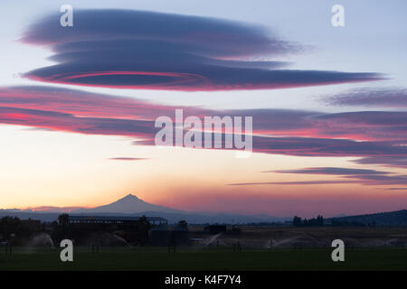Pink hues are reflected of the clouds over Mount Jefferson Oregon Stock Photo