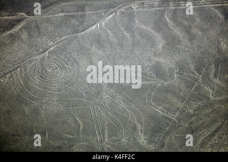 The Monkey, Nazca Lines, (ancient geoglyphs and World Heritage Site) in the desert near Nazca, Ica Region, Peru, South America - aerial Stock Photo