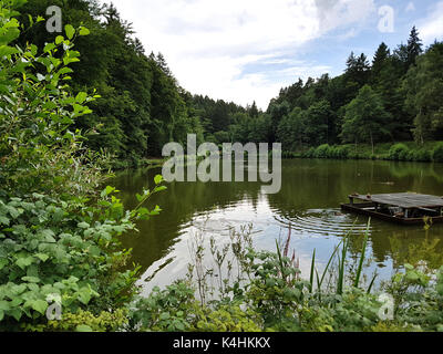 Waldsee, Kurpark, Bad Schwalbach, Hessen Stock Photo