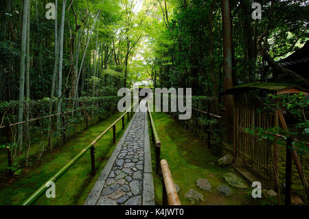 Koto-in temple narrow entrance path, Kyoto, Japan, Asia Stock Photo