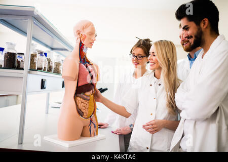 Students of medicine examining anatomical model in classroom Stock Photo