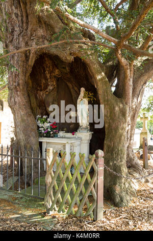 France, Eure (27), La Haye-de-Routot, ifs millénaires dans le cimetière de l'église, oratoire Notre-Dame-de-Lourdes, dans le tronc de l'if ouest // Fr Stock Photo