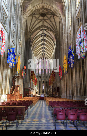 France, Loiret (45), Orléans, intérieur cathédrale Sainte-Croix // France, Loiret, Orleans, interior of Sainte Croix cathedral Stock Photo