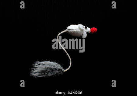 A mouse isolated on black Stock Photo