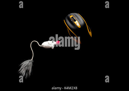 A mouse isolated on black Stock Photo
