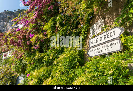 Vintage signs in Cote d'Azur, France with foliage Stock Photo