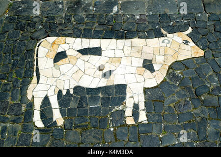 Detail of a stone pavement, Angra do Heroísmo. Terceira, Azores. Portugal Stock Photo