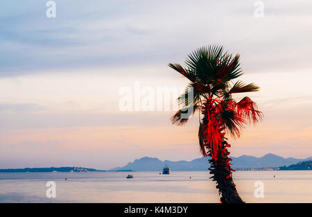 Illuminated palm tree with Cote d'Azur, France background at sunset Stock Photo