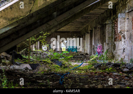 Old decayed building with green moss and trees growing inside Stock Photo