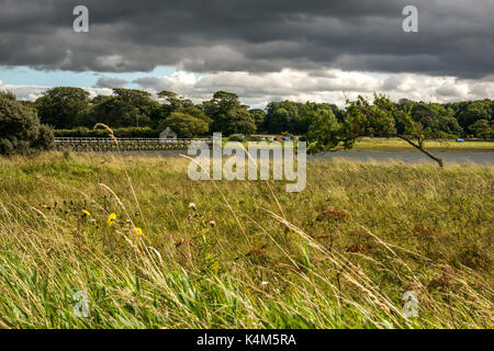 A Wooden bridge walkway over mudflats at high tide Aberlady Bay local nature reserve, East Lothian coast, Scotland, UK Stock Photo