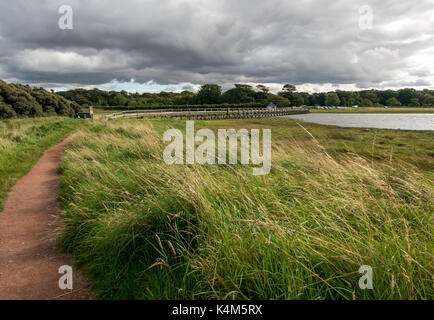 A path through dunes of Aberlady Bay nature reserve on East Lothian coastline, Scotland, UK leading to a wooden footbridge over high tide Stock Photo