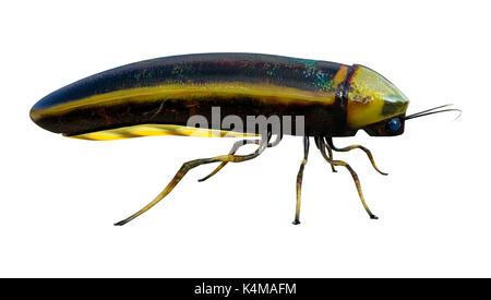 3D rendering of a lightning bug isolated on white background Stock ...