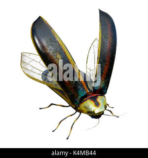 3D rendering of a lightning bug isolated on white background Stock ...