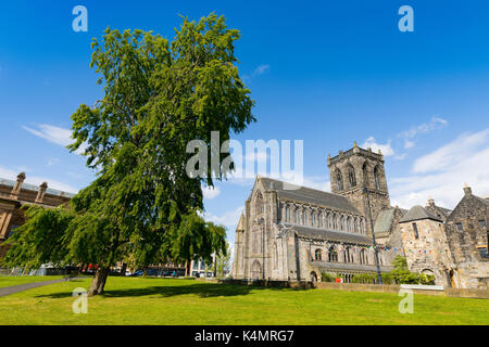 Paisley Abbey and tree, Renfrewshire, Scotland, United Kingdom, Europe Stock Photo