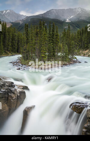 Sunwapta Falls in Jasper National Park, UNESCO World Heritage Site, Alberta, Canada, North America Stock Photo