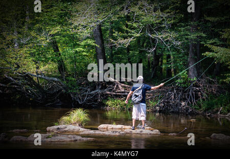 Wilson creek fishing hi-res stock photography and images - Alamy