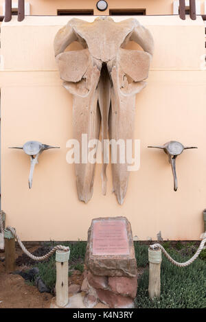 CAPE CROSS, NAMIBIA - JUNE 28, 2017: Parts of the skeleton of a humpback whale, Megaptera novaeangliae, at Cape Cross Lodge in the Dorob National Park Stock Photo