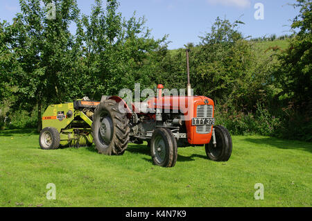 Massey Ferguson 35 tractor Stock Photo