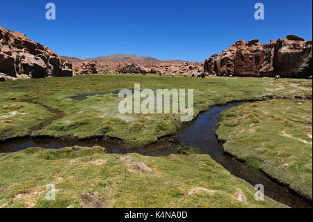 The rocky landscape of Laguna Negra, Reserva de Fauna Andina Eduardo Avaroa, Southern Bolivia Stock Photo