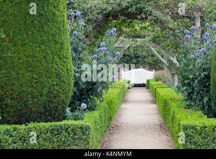 White wooden bench at the end of a path under rose arch, between trimmed hedge, blue and pink flowers in an English summer garden. Stock Photo