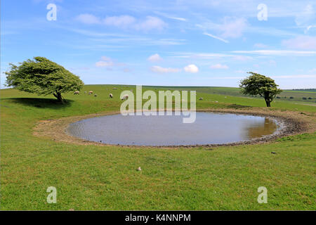 Dew pond, near Ditchling Beacon, on the South Downs, Sussex Stock Photo
