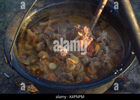 Juicy bubbling stew in a large pot cooking outdoors Stock Photo