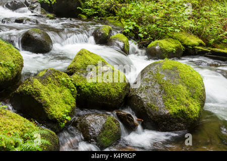 Beautiful creek flowing past moss covered rocks in the Columbia River Gorge Stock Photo