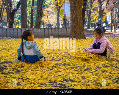 Nara, Japan - July 26, 2017: Two beautiful little girls playing with dry yellow leafs in the park ,Colorful foliage in the Autumn park at Kyoto Stock Photo