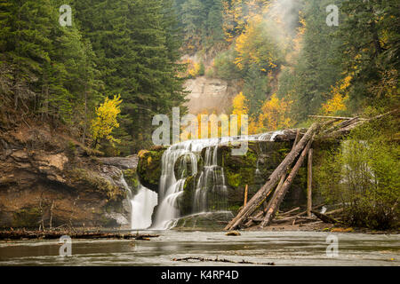 Lower Lewis Falls, located in the Gifford Pinchot National Forest ...