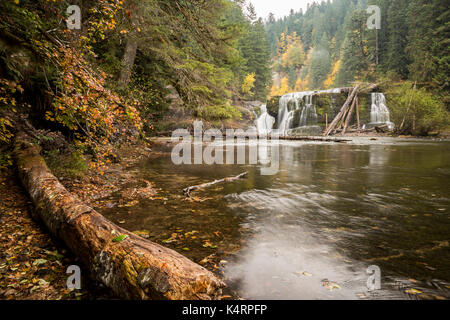 Lower Lewis Falls, located in the Gifford Pinchot National Forest ...