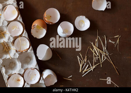 eggs and a shell on the farm broken Stock Photo