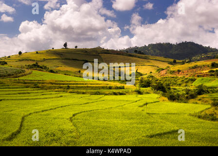 Landscape of farmland, Shan State, Burma, Myanmar, South East Asia Stock Photo