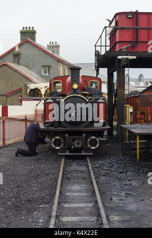 Narrow gauge steam locomotive David Lloyd George of the Ffestiniog Railway Company Stock Photo