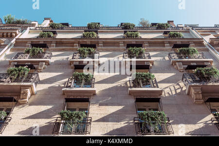 Looking up at an apartment building in Paris in the early morning. Rows of balconies with house plants.