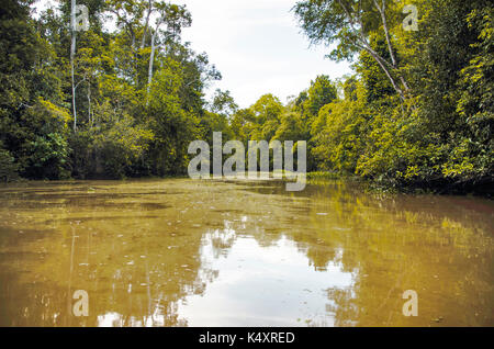 Kinabatangan, Malaysia - 09 May 2013 : Tourists on a boat cruise along the river of Kinabatangan, some of the most diverse concentration of wildlife i Stock Photo