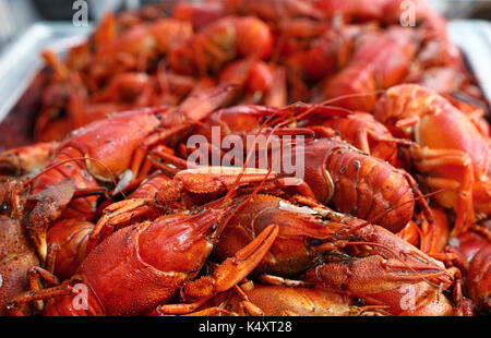 Heap of fresh cooked ready to eat red crawfish (crayfish) with claws in metal tray at retail display, close up, high angle front view Stock Photo