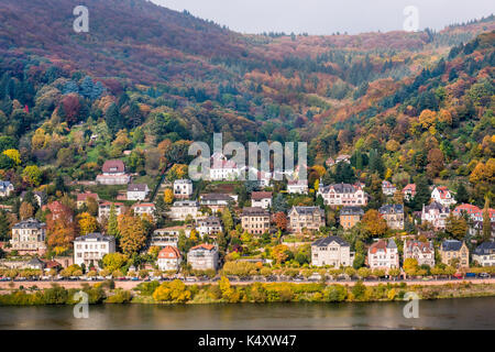 Heidelberg city in Germany, riverside cıty with charming houses nestled ...