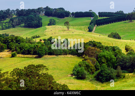 Rolling hills in Victoria, Strzelecki Rangers, Australia. Stock Photo