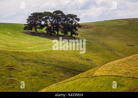 Rolling hills in Victoria, Strzelecki Rangers, Australia. Stock Photo