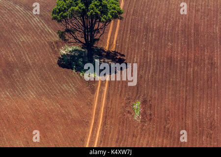 Aerial view on the plowed field in Strzelecki Rangers, Victoria, Australia. Stock Photo