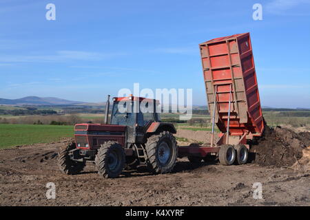 1992 Case IH1255 tractor and trailer Stock Photo