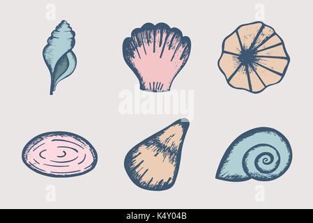 Vector icon set for various shells Stock Vector