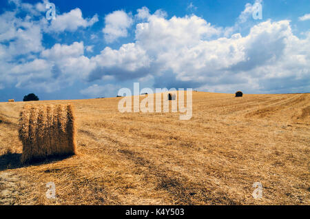 Haystack in the field in Cyprus Stock Photo