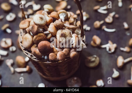 Honey agarics in a basket Mushrooms Armillariella on a wooden table in the background Stock Photo